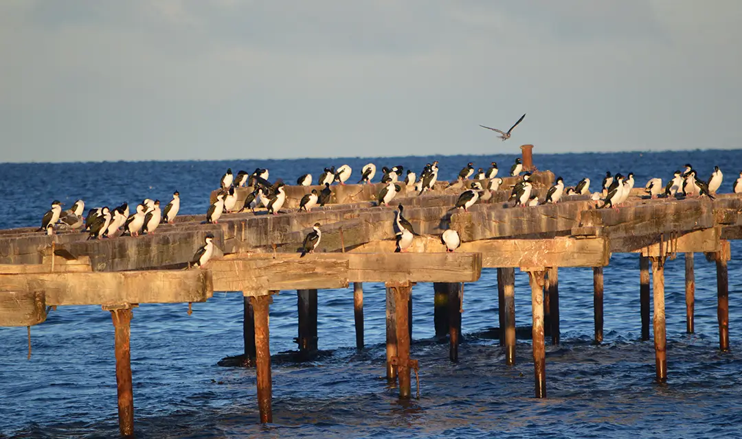 Tour highlight image