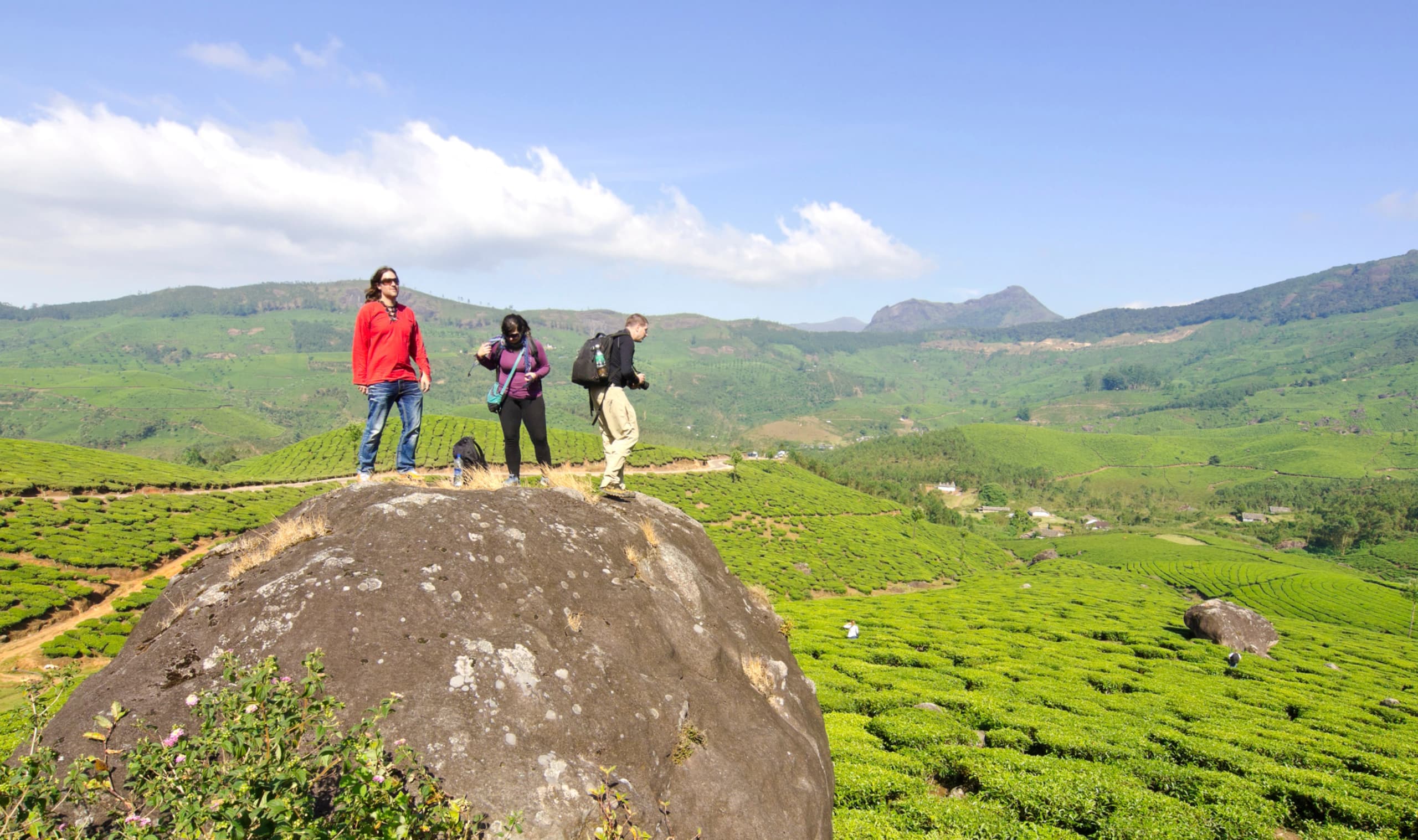 Grand India: Palaces, Scents, and Backwaters