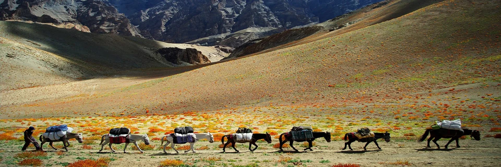 Travel destination image