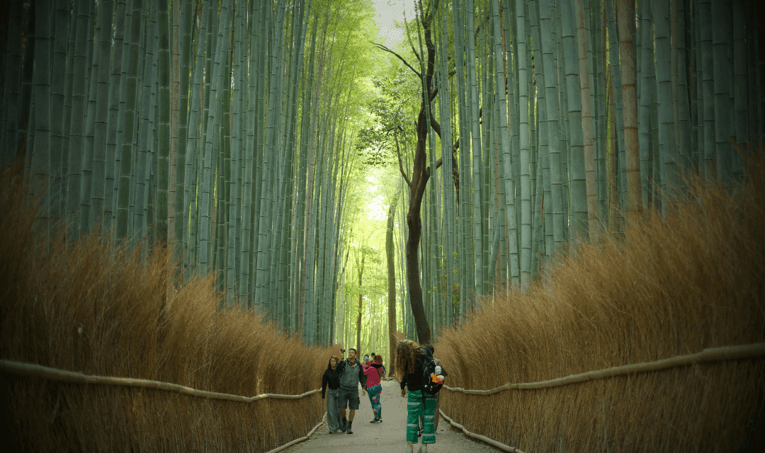 Japan : Beyond the Ordinary