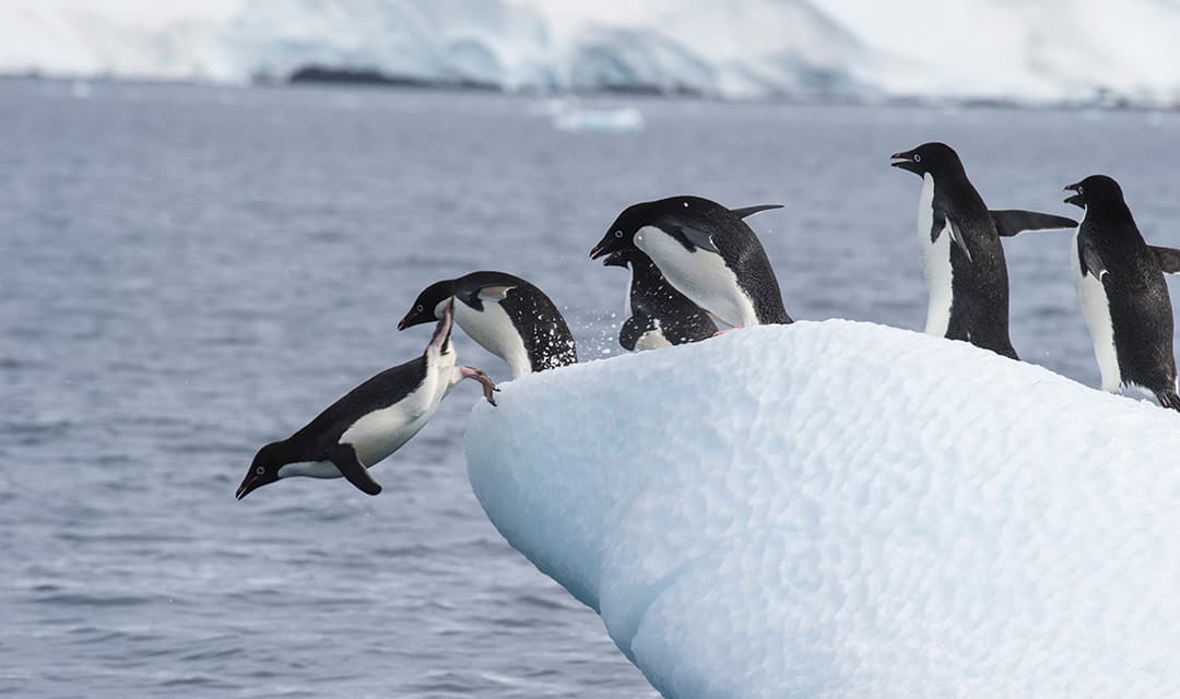 Tour highlight image