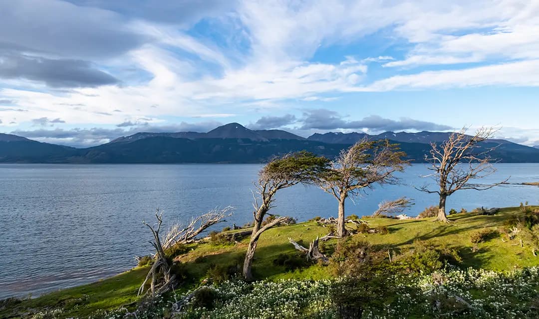 Embark in Puerto Williams