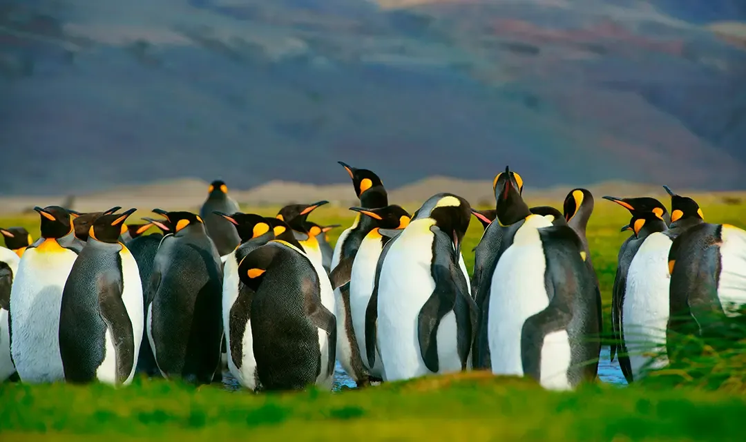 Tour highlight image