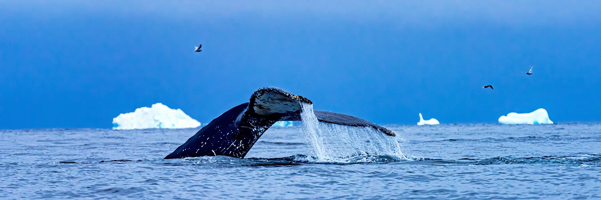 Itinerary destination image