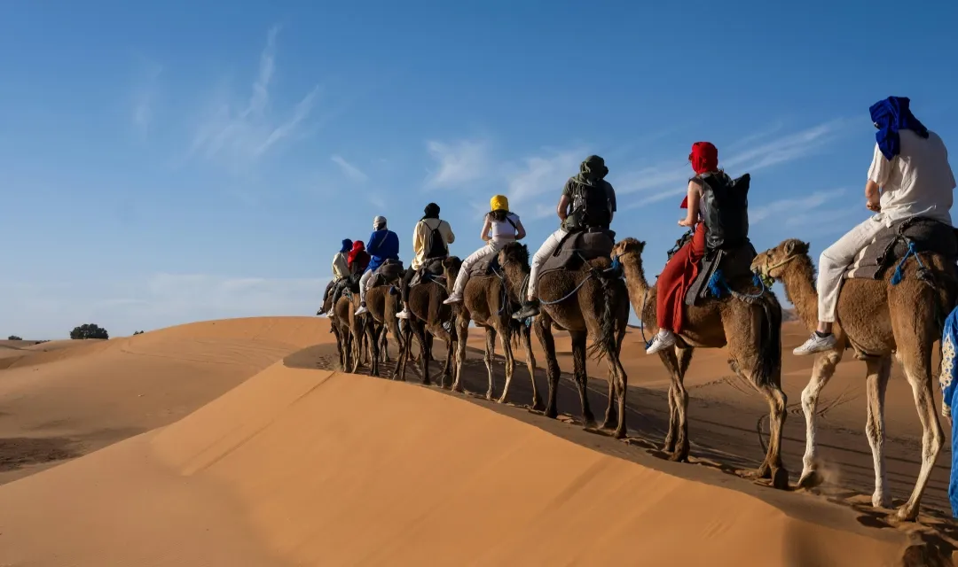 Morocco’s Mountains & Medinas