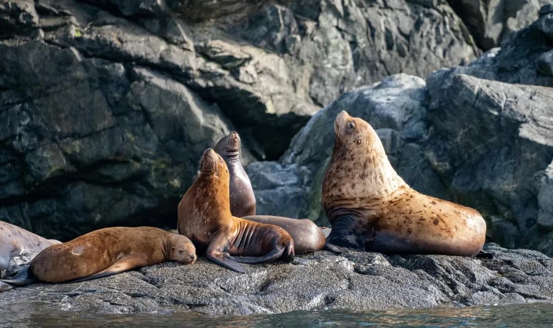 Tour highlight image