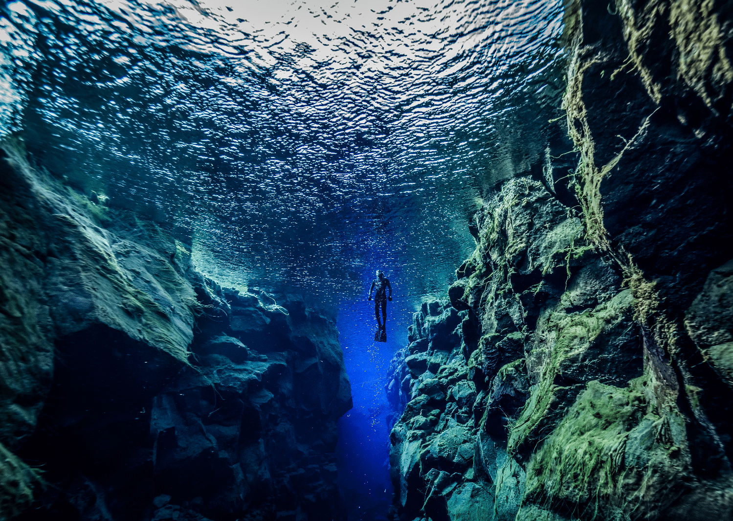 Dive deeper than ever before! Explore Earth's most unique and unforgettable underwater destinations.
