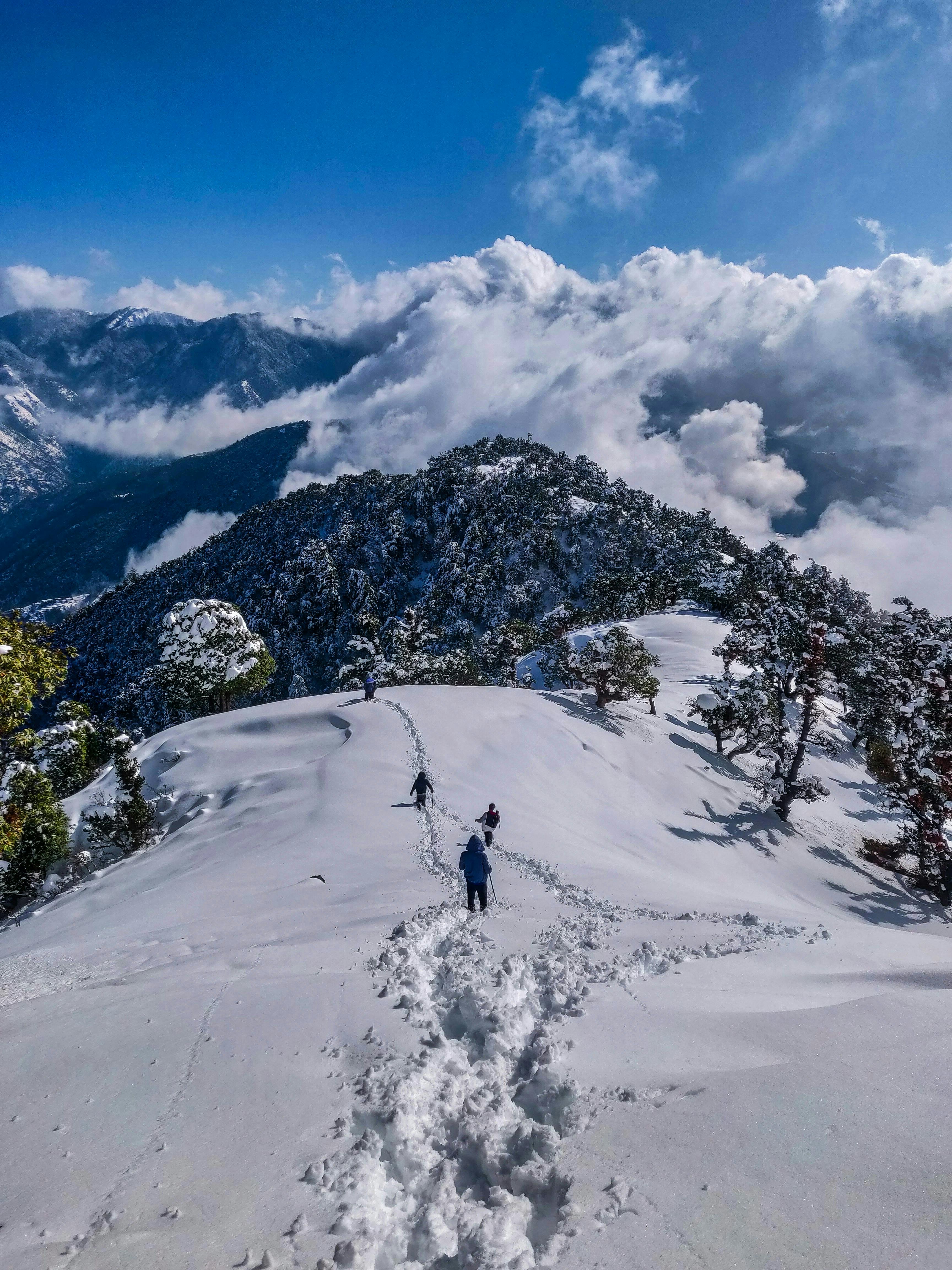Deciding Your Ideal India Adventure: Monsoon Magic vs. Winter Wonderland
