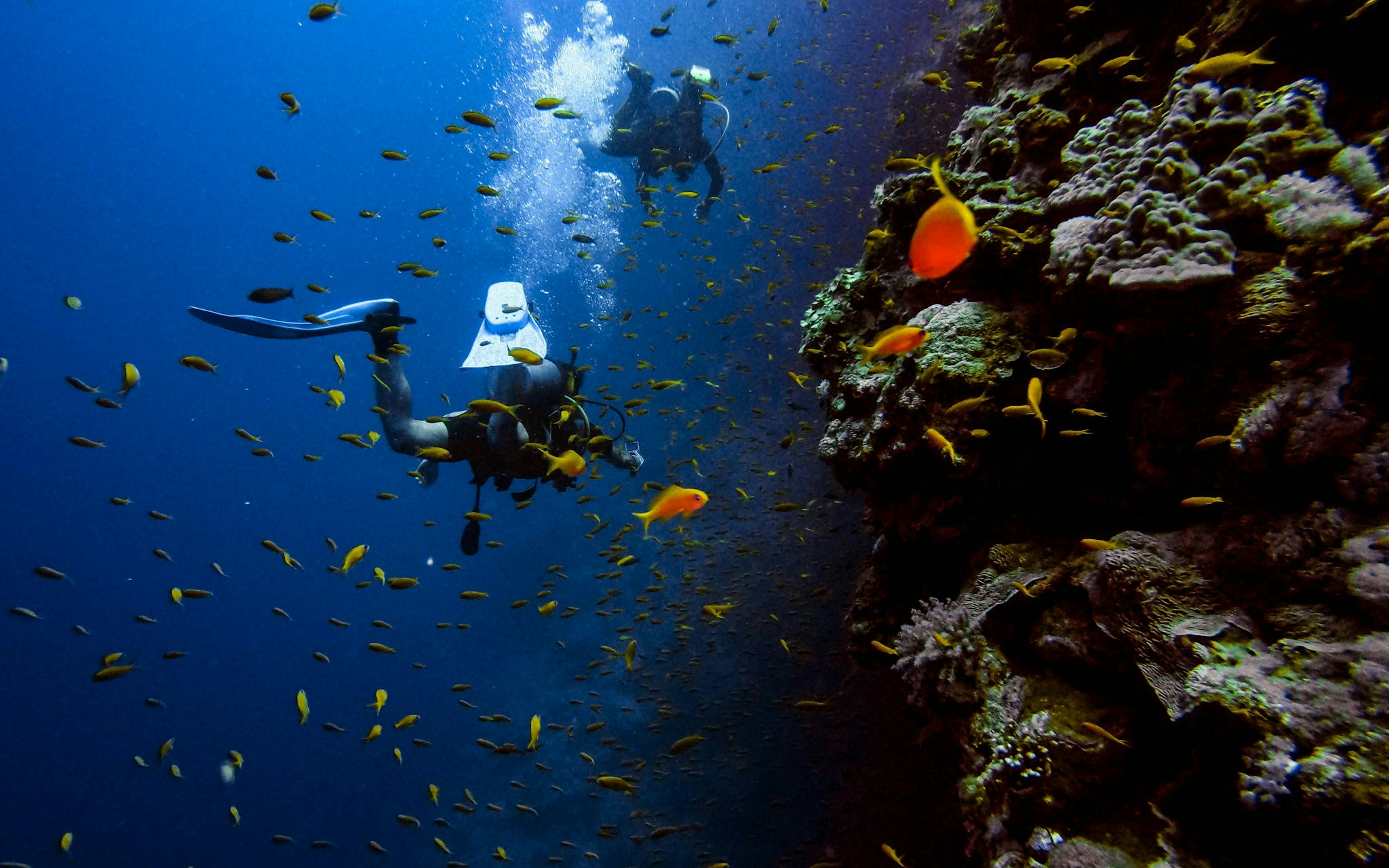 Explore the Most Unique Scuba Diving Destinations in the World